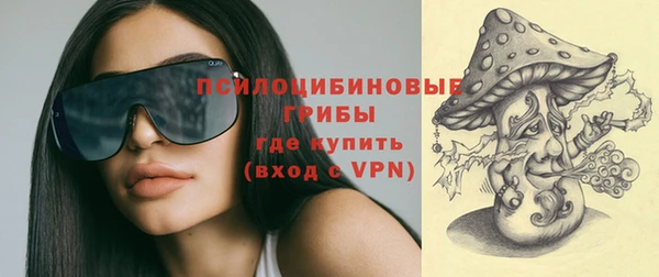 Альфа ПВП Кукмор