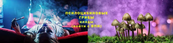 ГАЛЛЮЦИНОГЕННЫЕ ГРИБЫ Лиски
