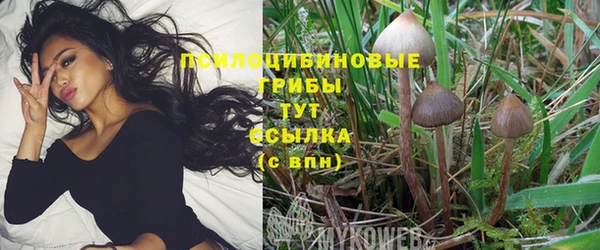 дмт Куйбышев