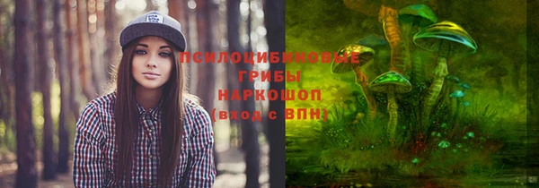 ГАЛЛЮЦИНОГЕННЫЕ ГРИБЫ Лиски