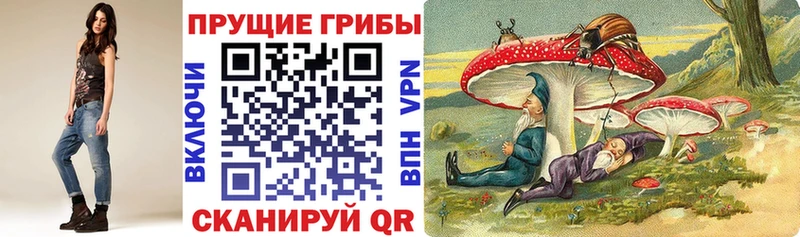 мега ссылки Мамадыш Псилоцибиновые грибы мицелий купить закладку